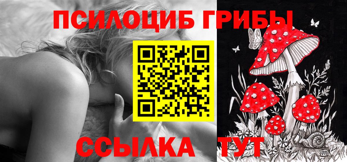 Клинцы  Псилоцибиновые грибы Cubensis  Вход с VPN 