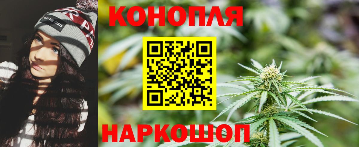 Клинцы  Конопля ГИДРОПОН  Вход с VPN  МАРИХУАНА планчик  Конопля планчик 